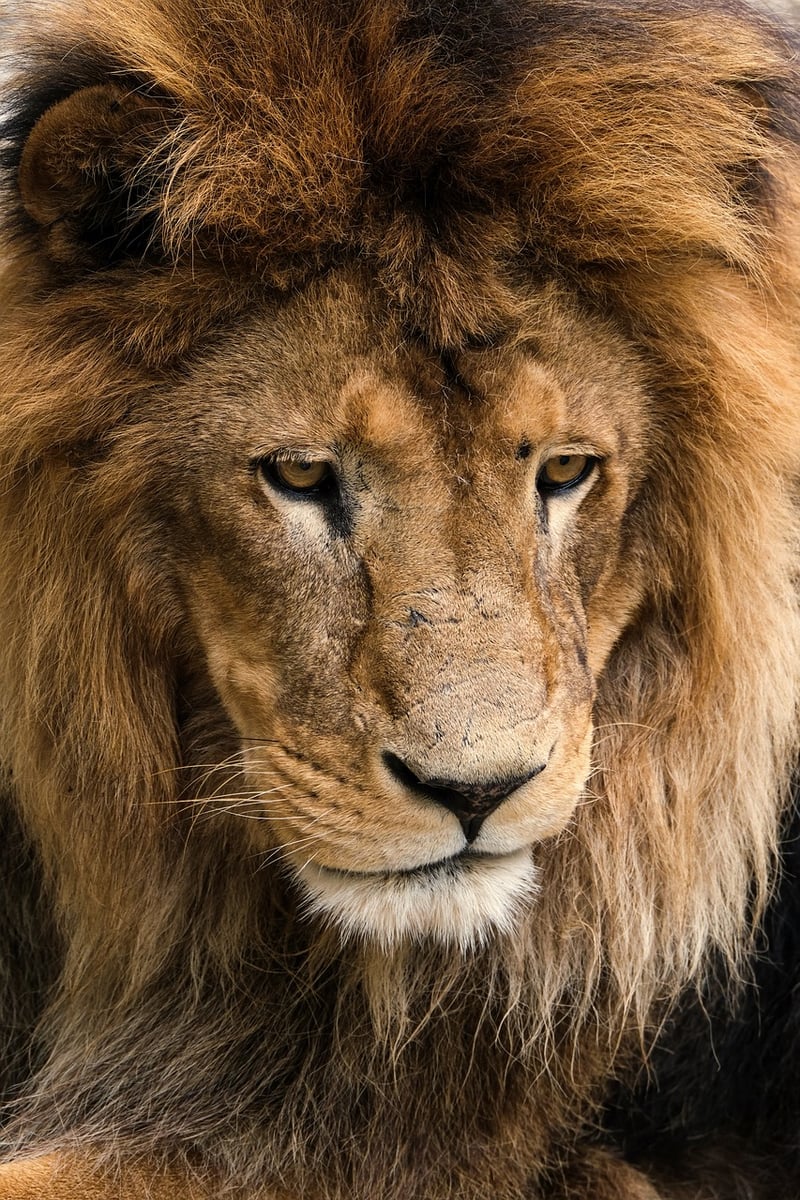 Kruger National Park